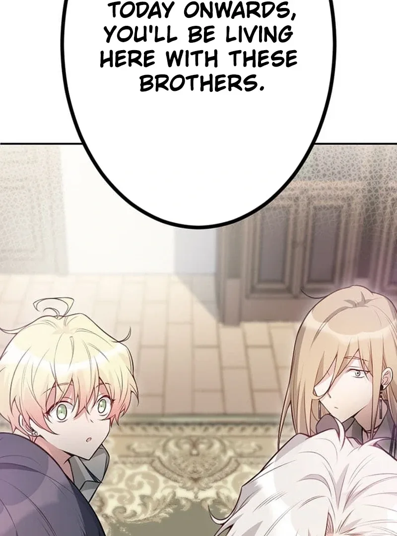 The Loner Girl Who Holds the Heirs’ Fate Chapter 6 page 5
