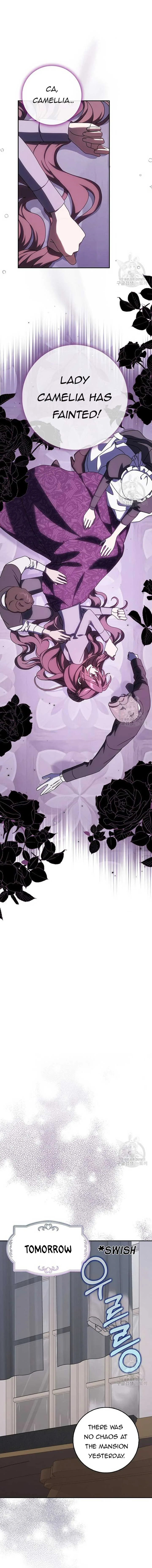 The Lost Cinderella Chapter 11 page 11