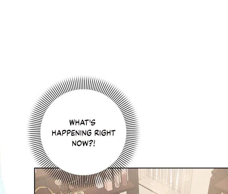 The Obsessive Emperor’s Capable Pharmacist Chapter 1 page 47