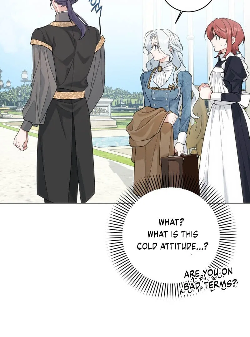 The Obsessive Emperor’s Capable Pharmacist Chapter 3 page 43