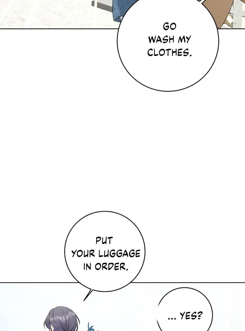 The Obsessive Emperor’s Capable Pharmacist Chapter 3 page 42