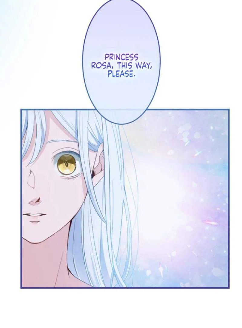 The Reason why Princess White Rose Wears Thorns Chapter 1 page 70