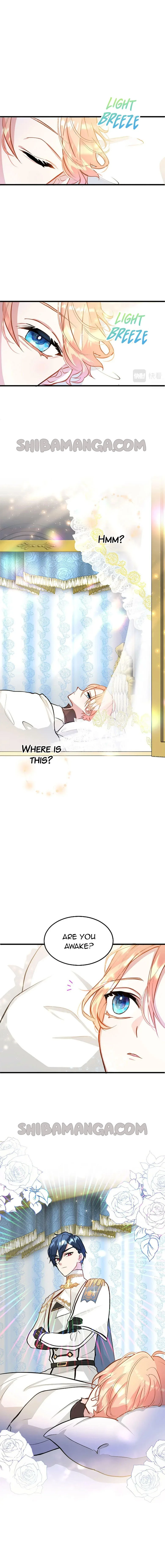 The Reason Why The Twin Lady Crossdresses Chapter 8 page 11