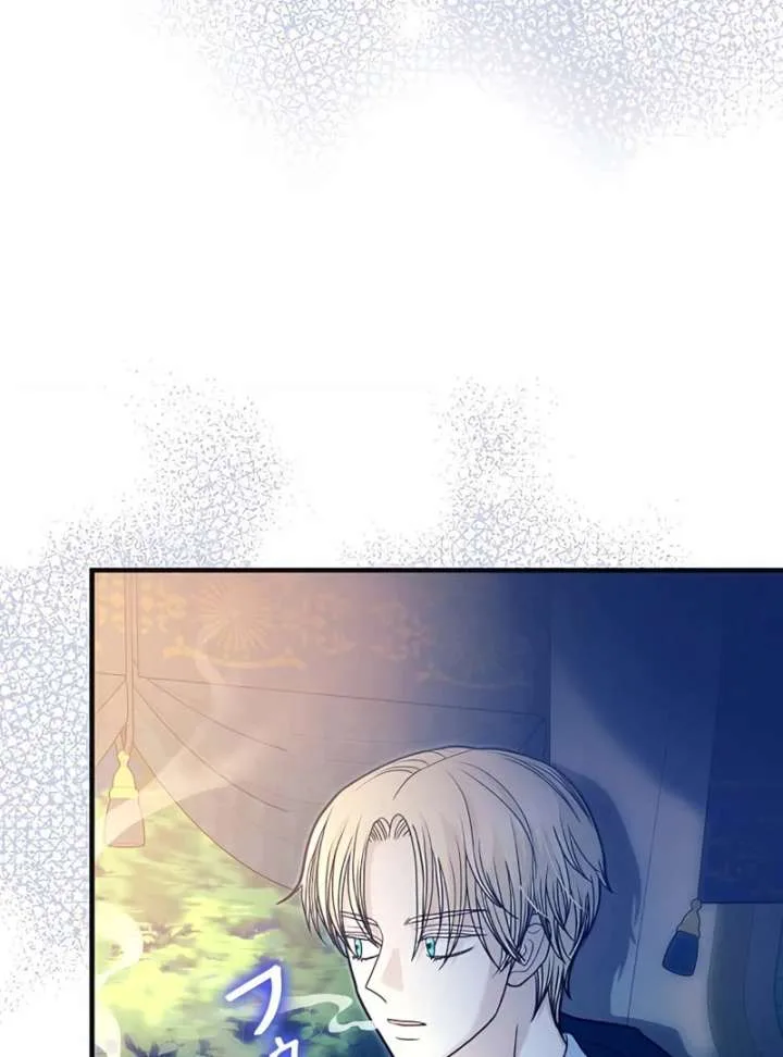 The Reason the Abandoned Fake Princess Returned Chapter 13 page 11