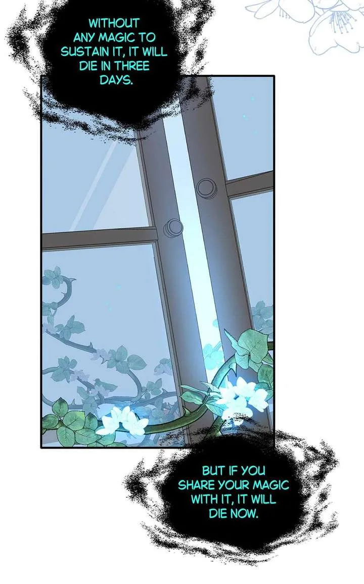 The Reborn Witch Raises a Templar Chapter 12 page 35
