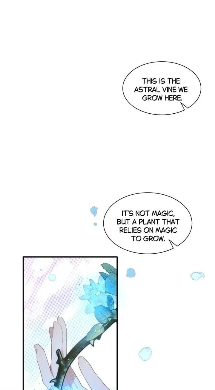 The Reborn Witch Raises a Templar Chapter 13 page 4