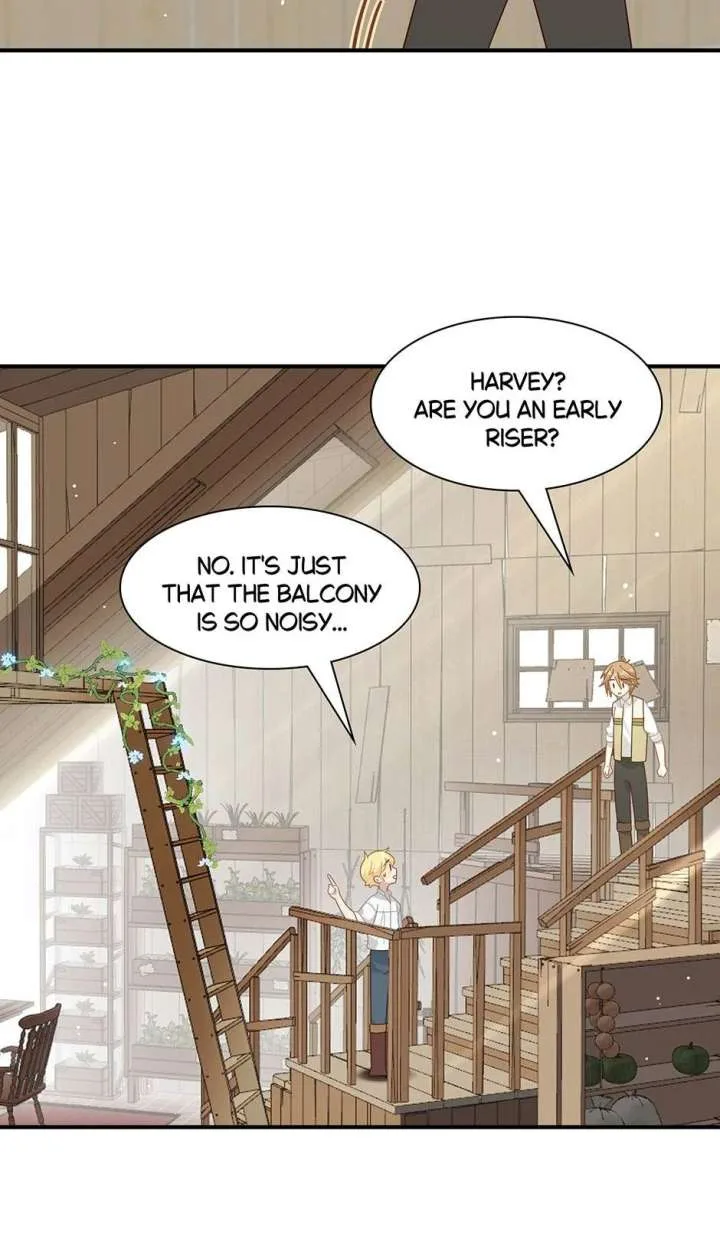 The Reborn Witch Raises a Templar Chapter 13 page 17