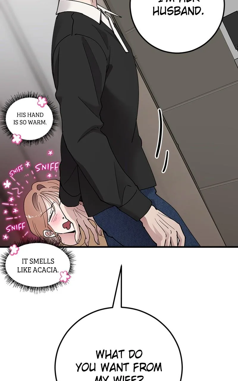 The Team Leader is Tired of Being A Newlywed Chapter 12 page 69
