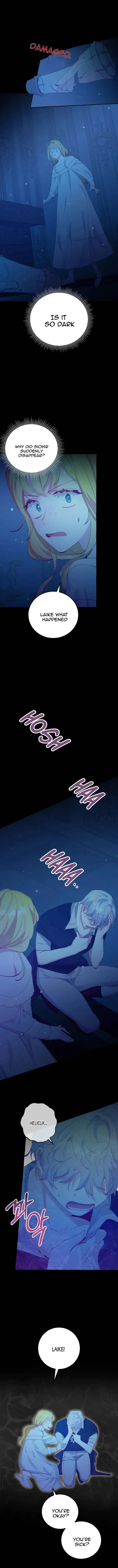 The Villainess Doesn’t Need A New Husband! Chapter 19 page 11