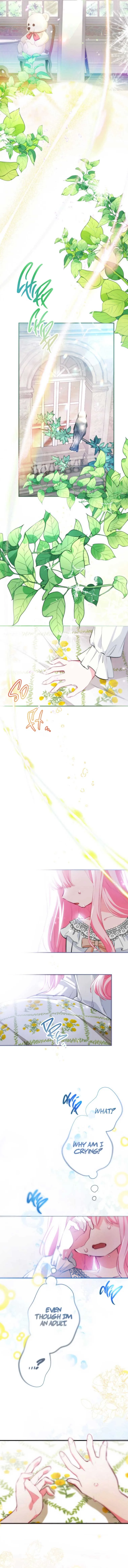 The Young Lord of House Finlanz Chapter 2 page 3