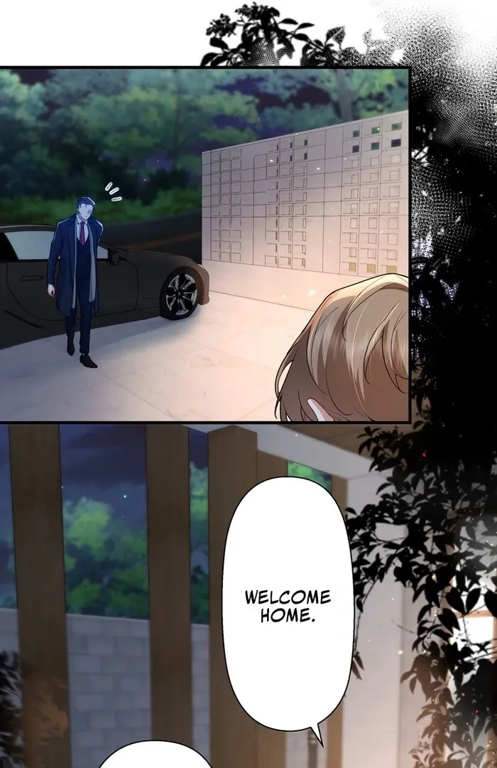 I Became a Divorce Lawyer for My First Love Chapter 23 page 11