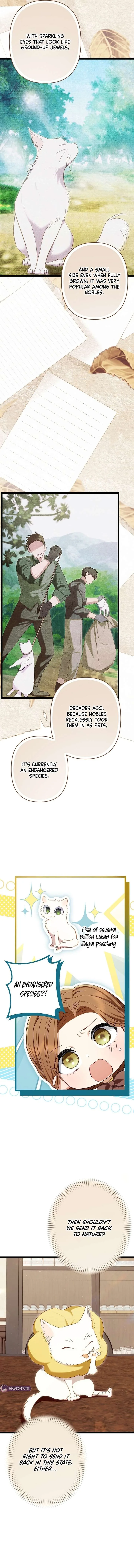 The Rebellion’s Quack Doctor Chapter 26 page 3