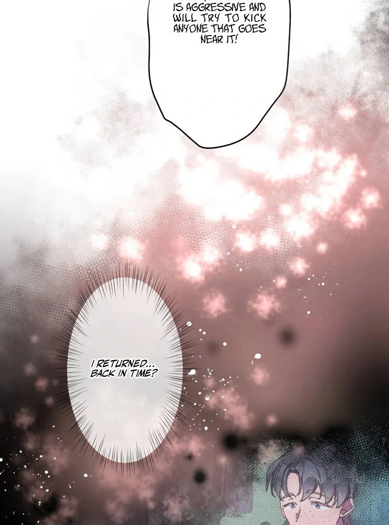 To the Saintess Who Killed Me, I’ll Turn Back Time to See You Chapter 4 page 98