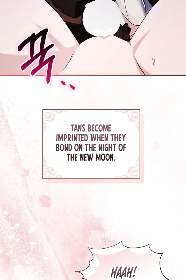 The Fake Saint of a Reverse Harem Game Chapter 27 page 51