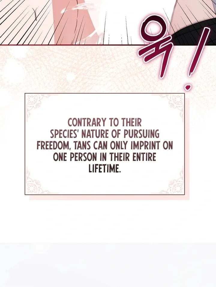 The Fake Saint of a Reverse Harem Game Chapter 27 page 53