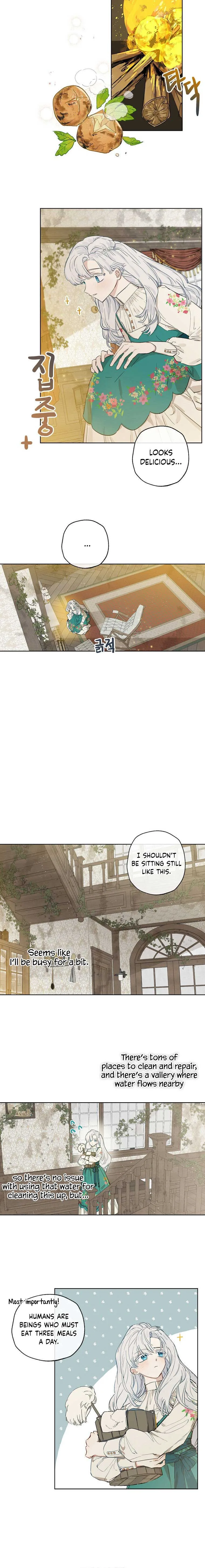 When The Count’s Illegitimate Daughter Gets Married Chapter 2 page 20