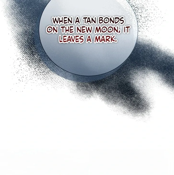 The Fake Saint of a Reverse Harem Game Chapter 28 page 28