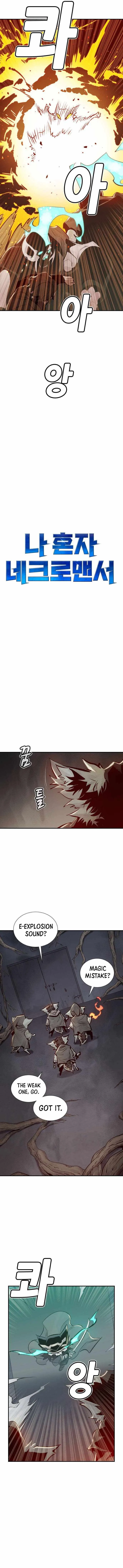 The Lone Necromancer Chapter 28 page 12