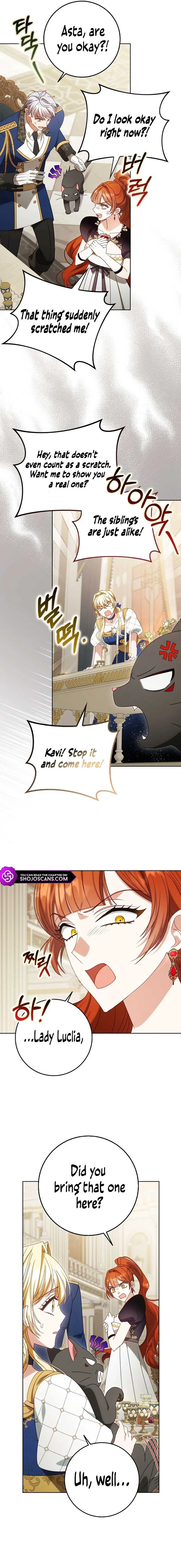 The secrets of the lovely duchess Chapter 28 page 5