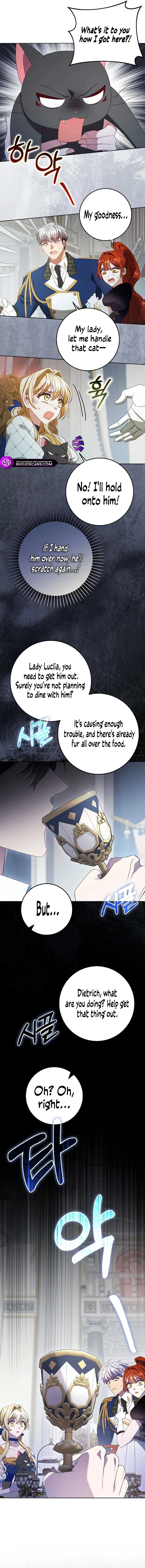 The secrets of the lovely duchess Chapter 28 page 6