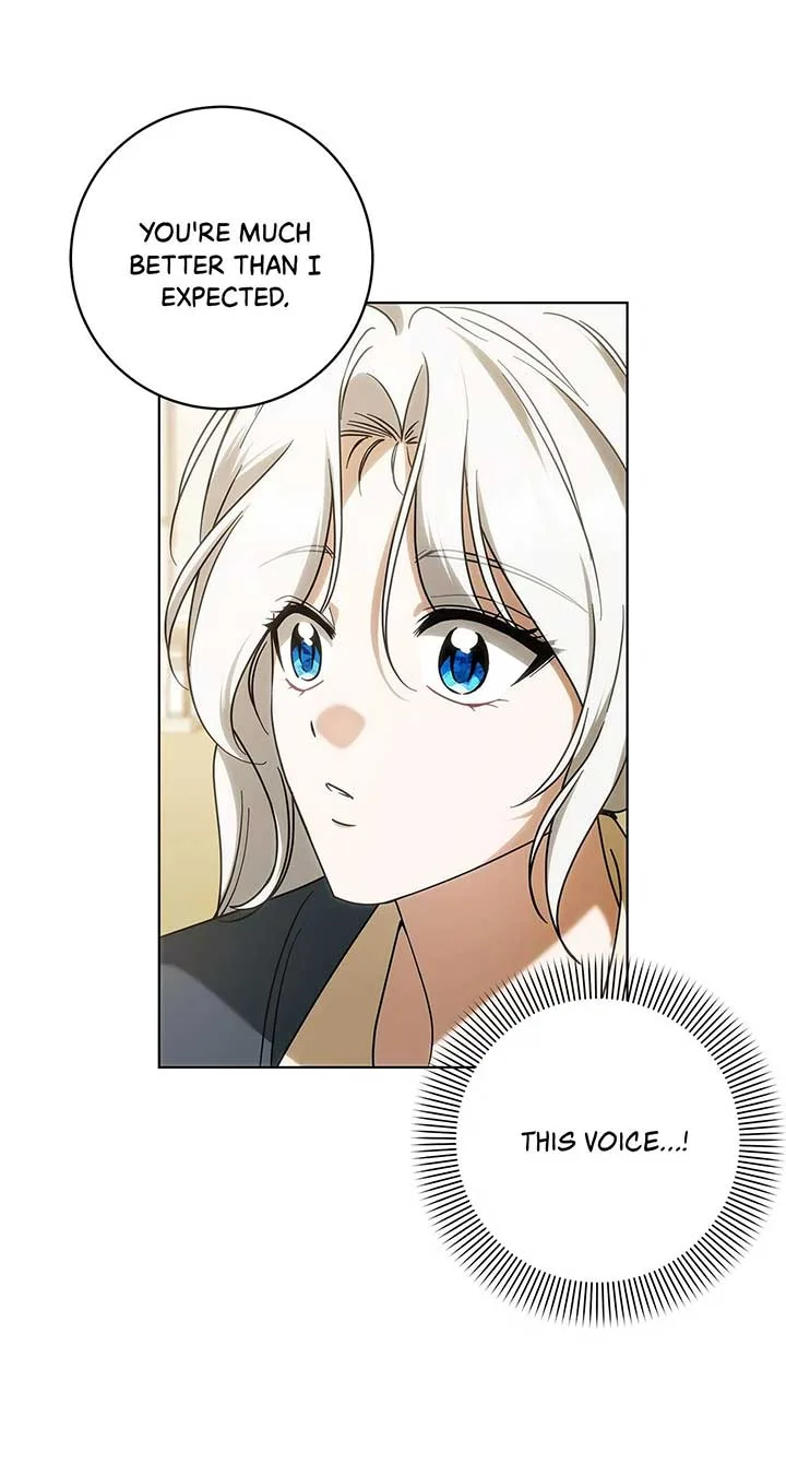 The Obsessive Emperor’s Capable Pharmacist Chapter 29 page 40