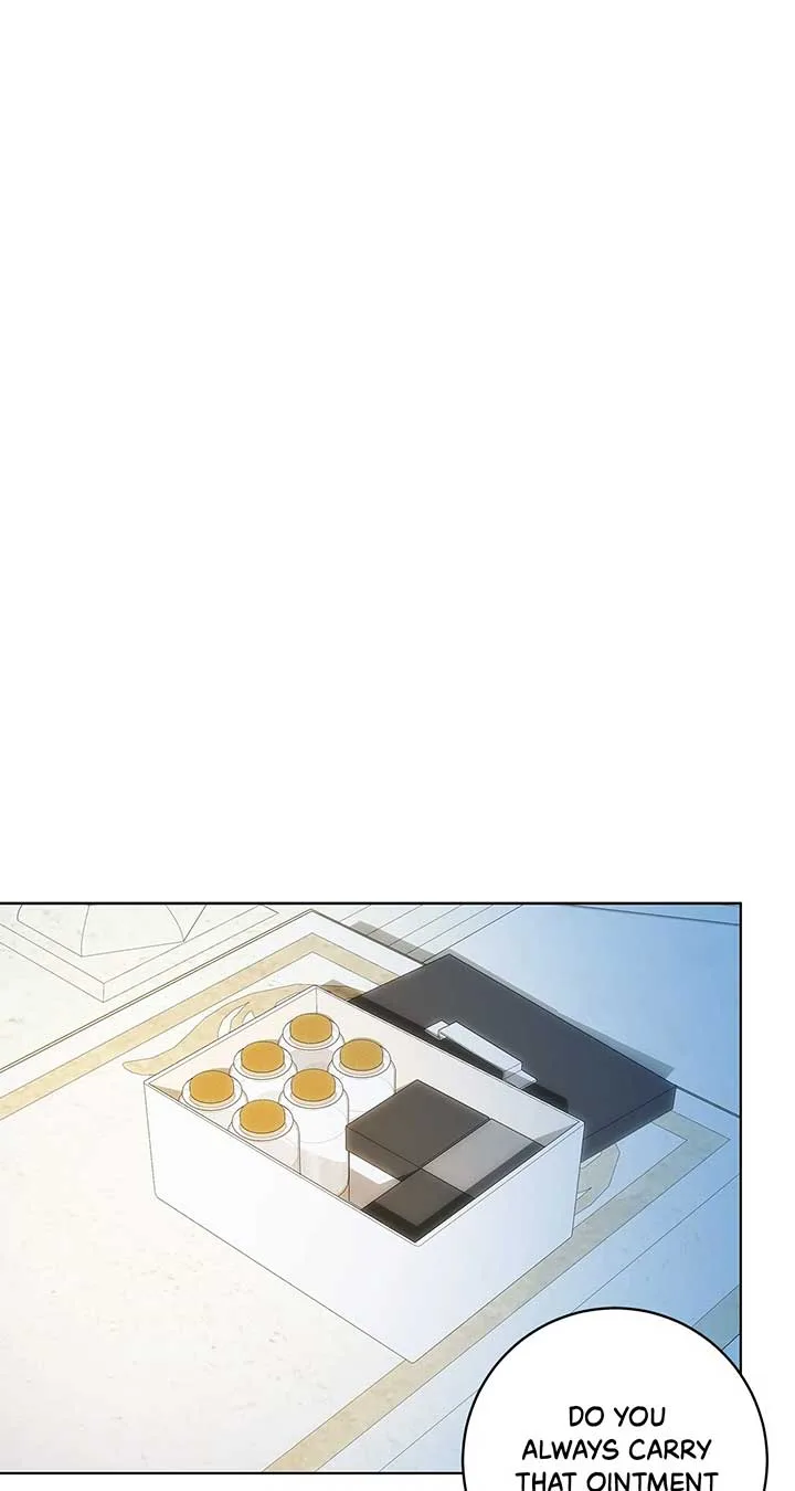 The Obsessive Emperor’s Capable Pharmacist Chapter 29 page 46