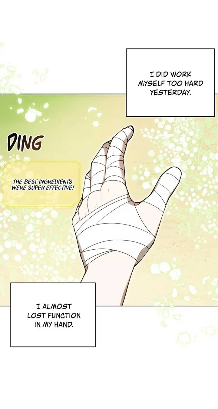 The Obsessive Emperor’s Capable Pharmacist Chapter 29 page 86