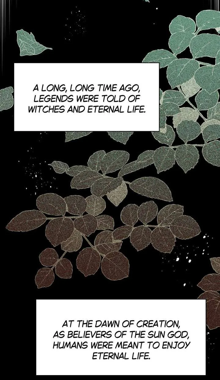 The Reborn Witch Raises a Templar Chapter 28 page 9