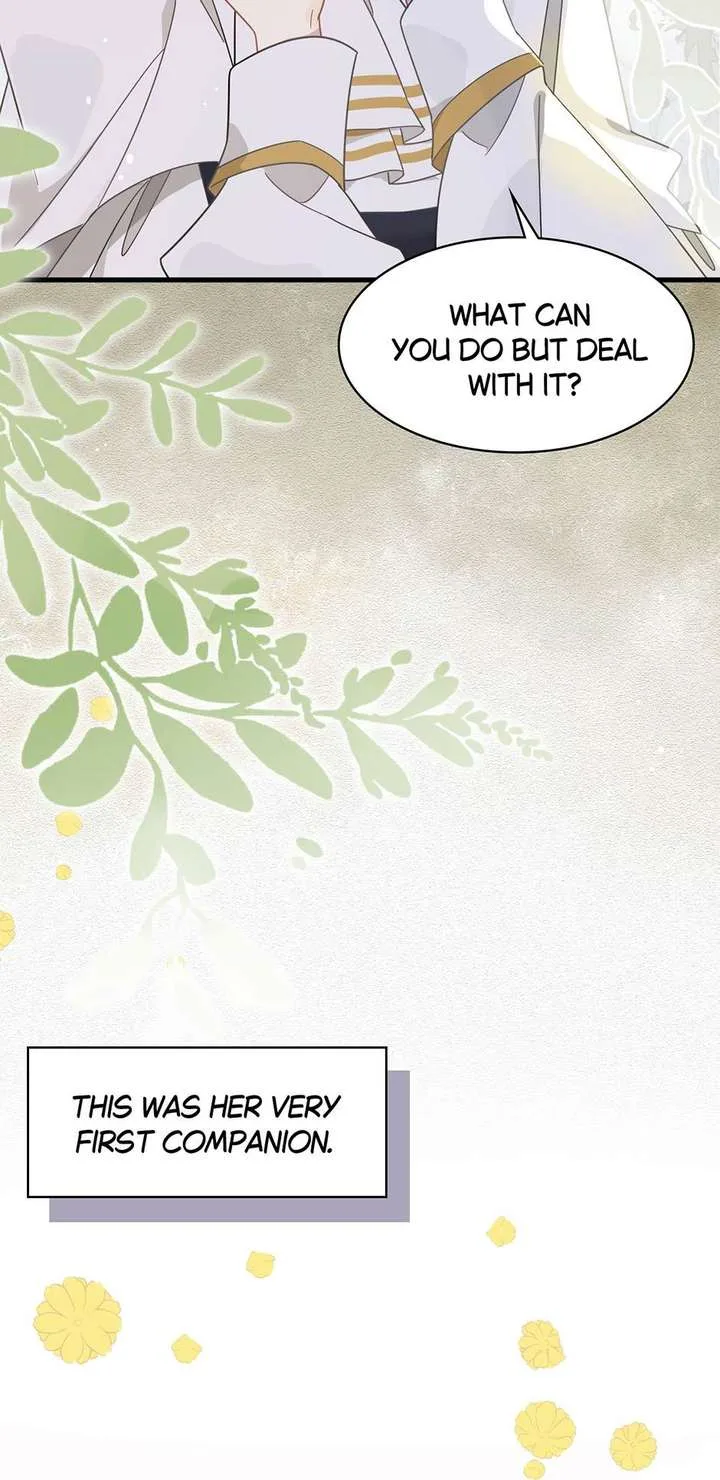The Reborn Witch Raises a Templar Chapter 28 page 47