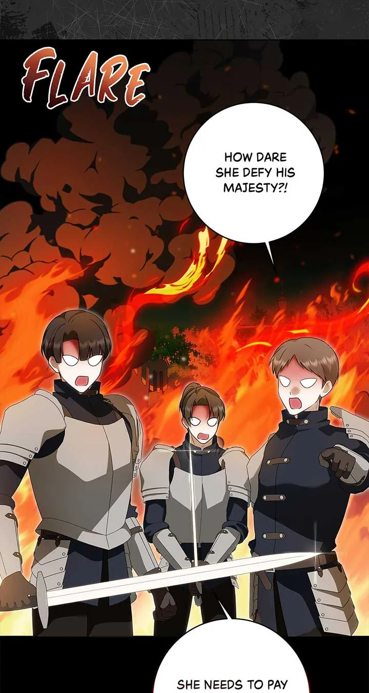 The Obsessive Emperor’s Capable Pharmacist Chapter 30 page 30