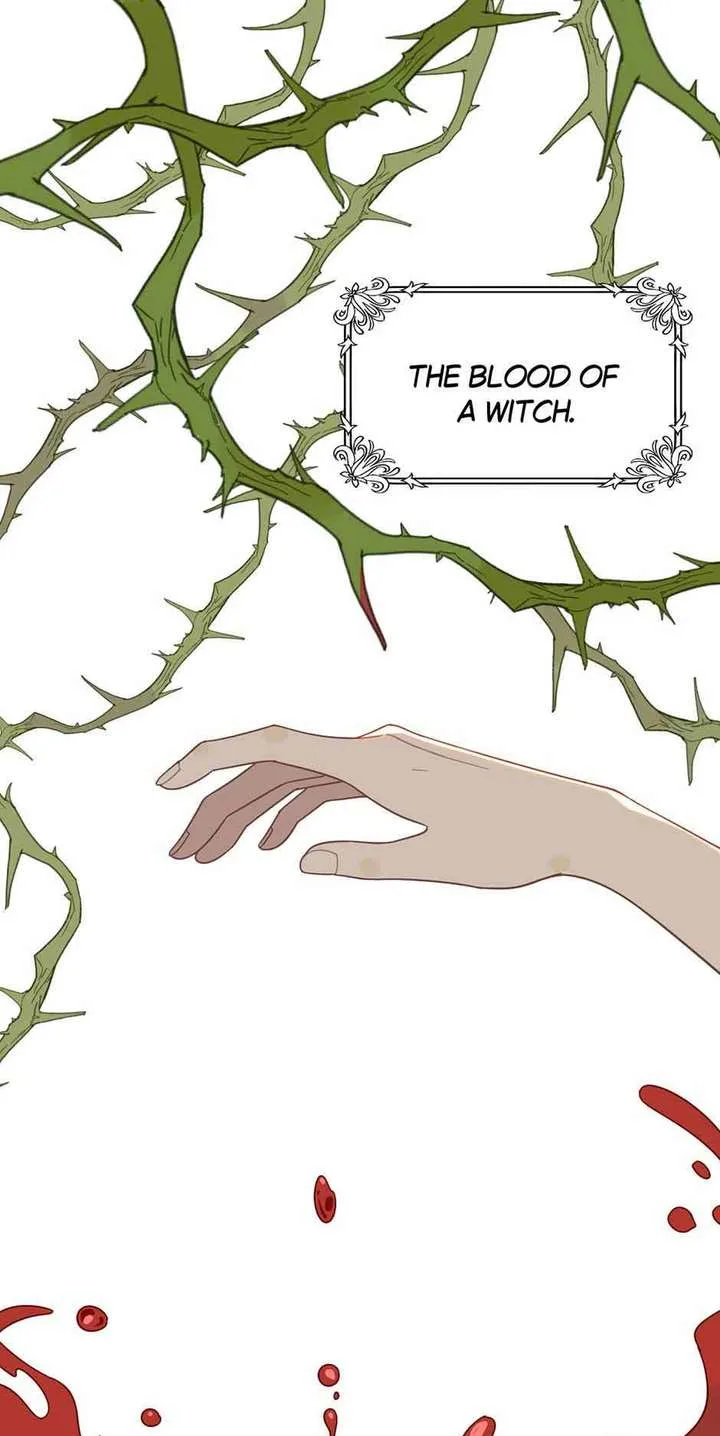 The Reborn Witch Raises a Templar Chapter 29 page 4
