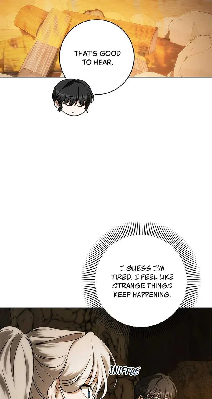 The Obsessive Emperor’s Capable Pharmacist Chapter 32 page 68