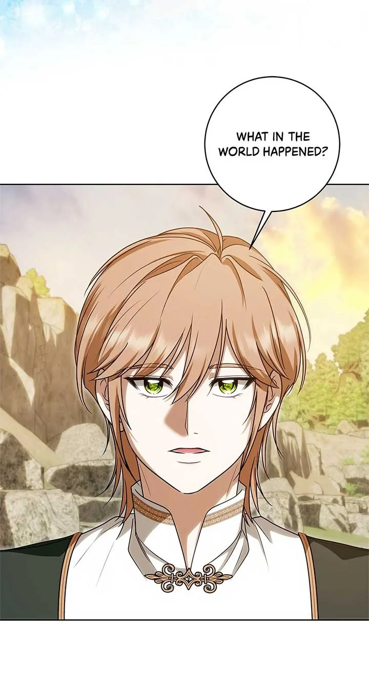 The Obsessive Emperor’s Capable Pharmacist Chapter 33 page 47