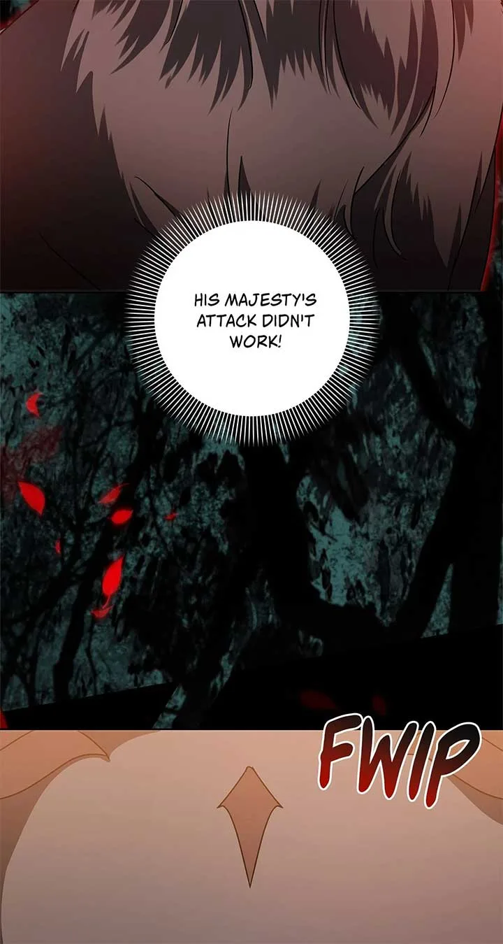 The Obsessive Emperor’s Capable Pharmacist Chapter 33 page 71