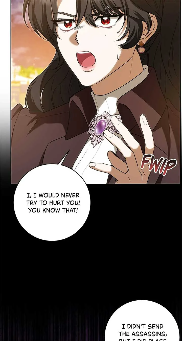 The Obsessive Emperor’s Capable Pharmacist Chapter 34 page 30
