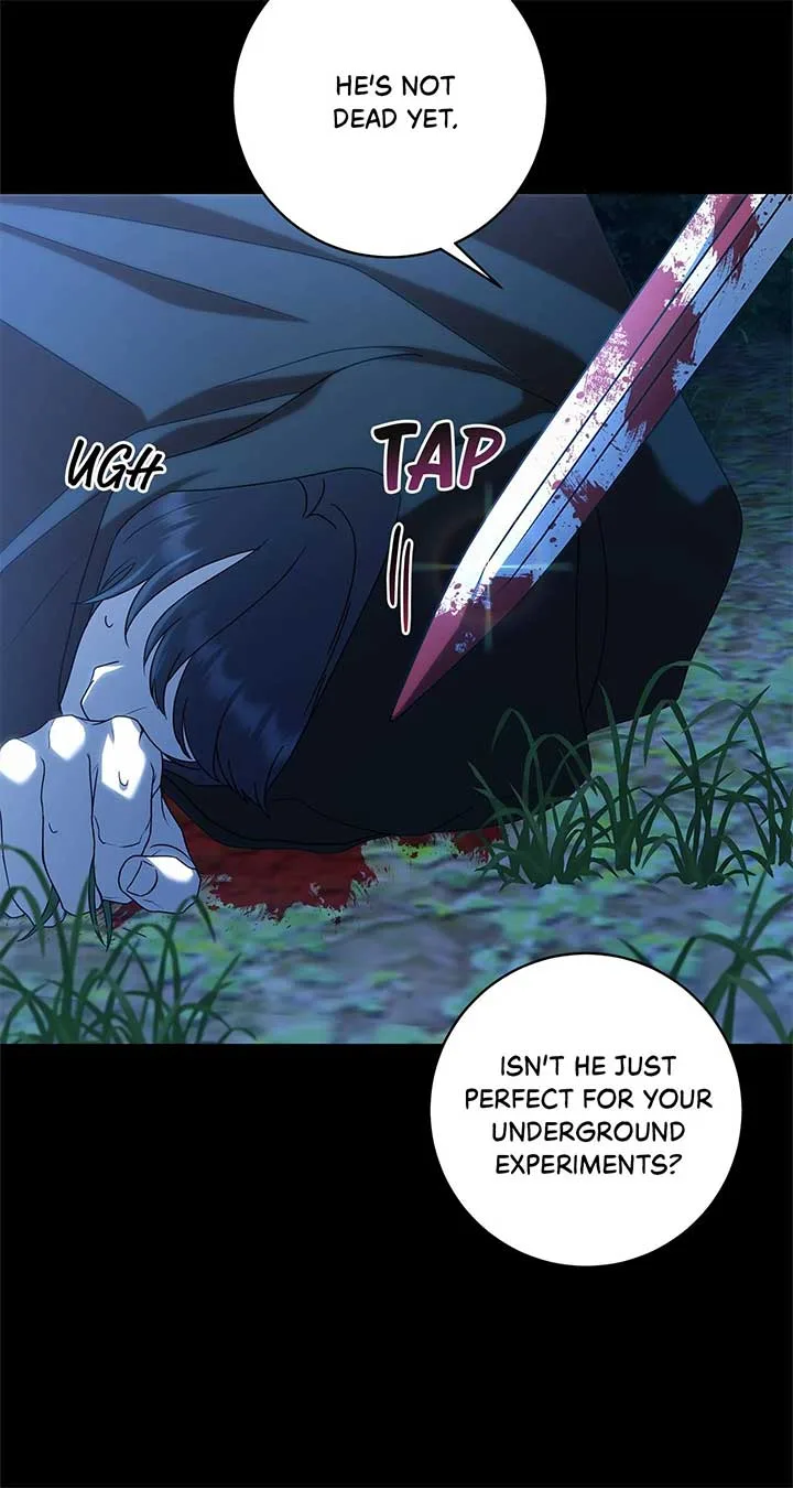 The Obsessive Emperor’s Capable Pharmacist Chapter 34 page 72
