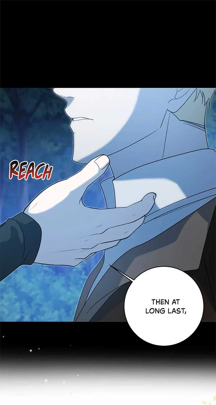 The Obsessive Emperor’s Capable Pharmacist Chapter 34 page 81
