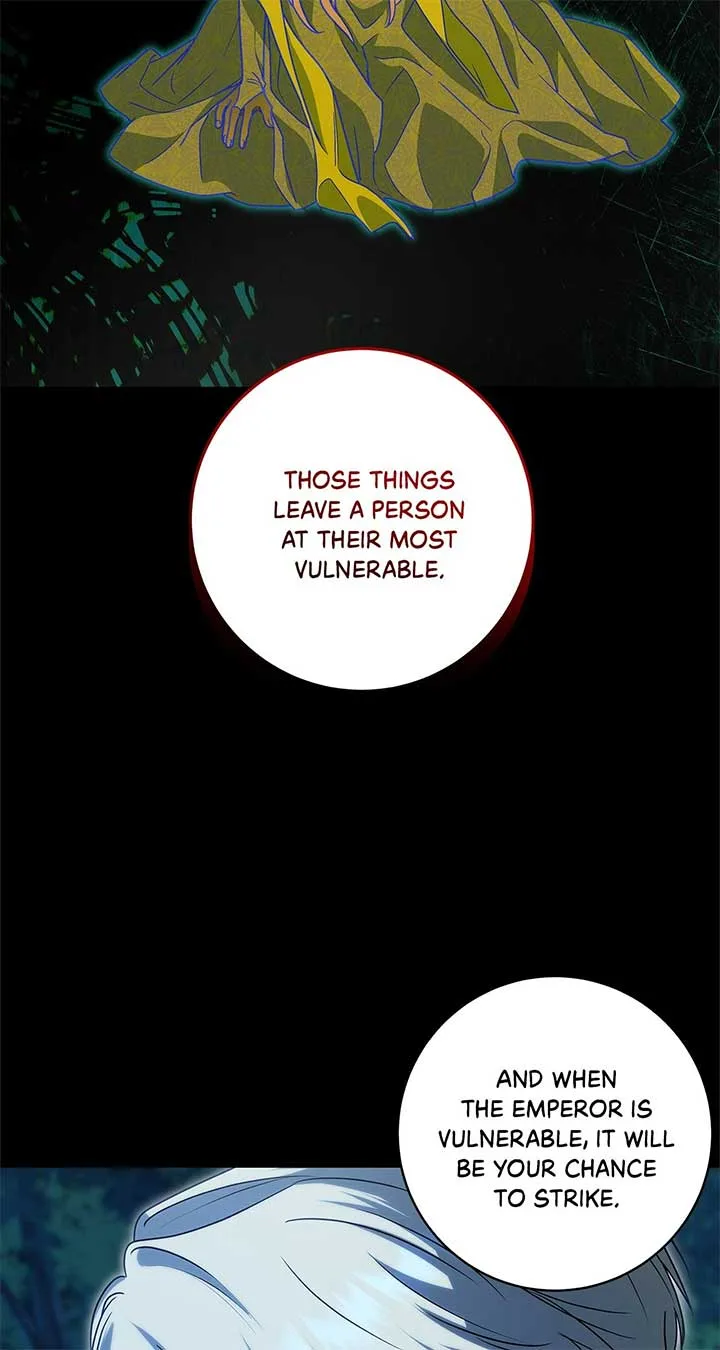 The Obsessive Emperor’s Capable Pharmacist Chapter 34 page 79
