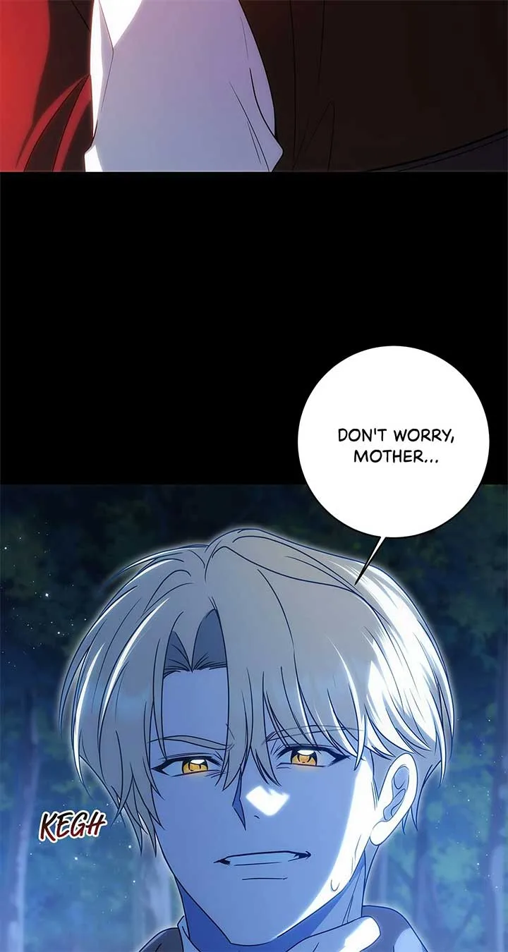 The Obsessive Emperor’s Capable Pharmacist Chapter 34 page 87