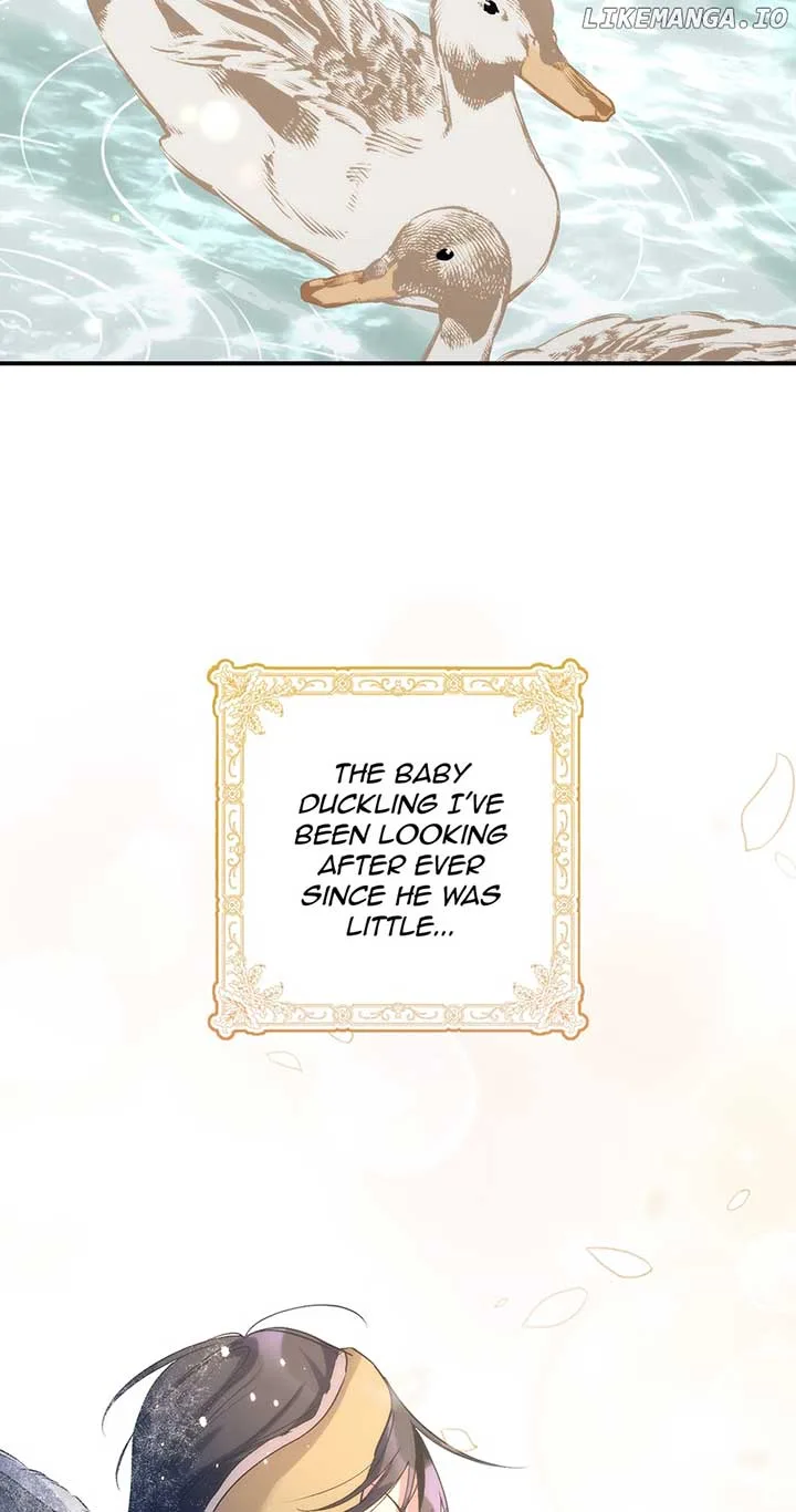 The Hero Went Crazy Even Though I’m the One Who Died Chapter 34 page 47
