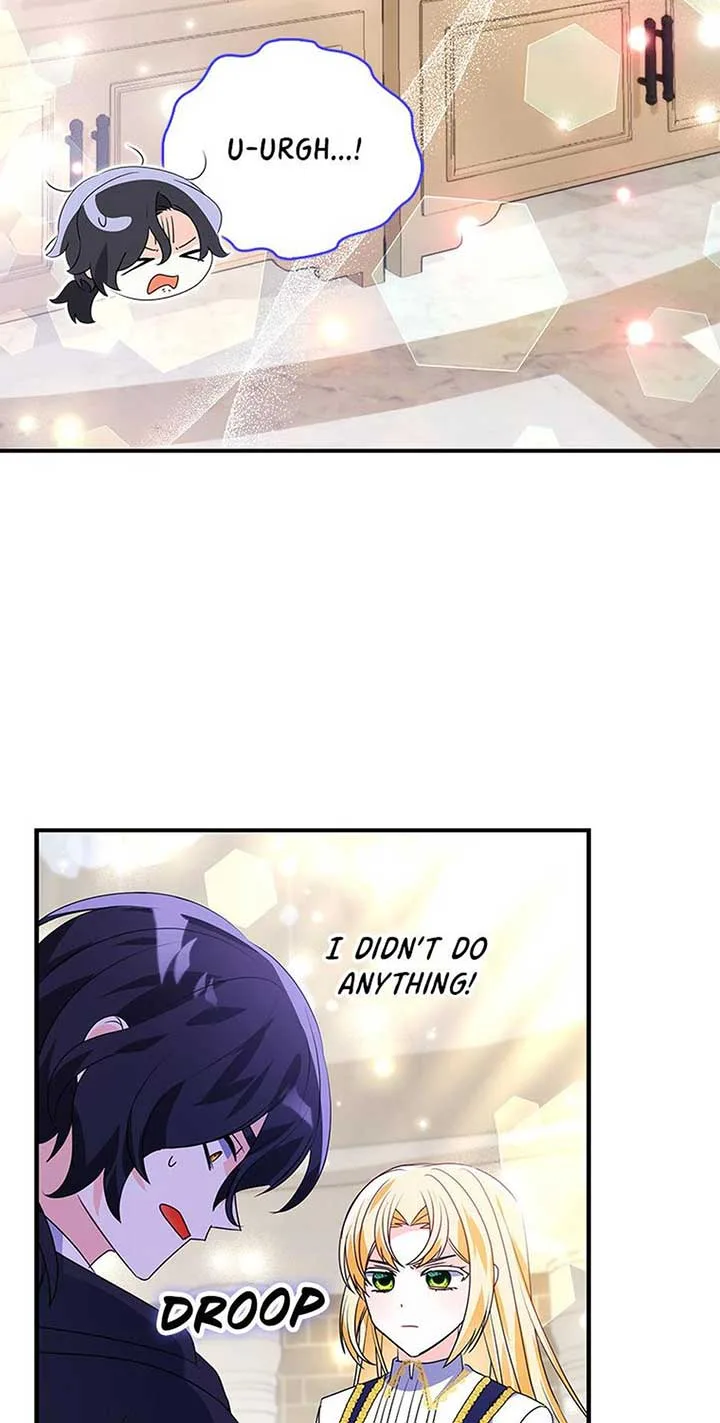 The Fake Rides in a Flower Kiln Chapter 36 page 67