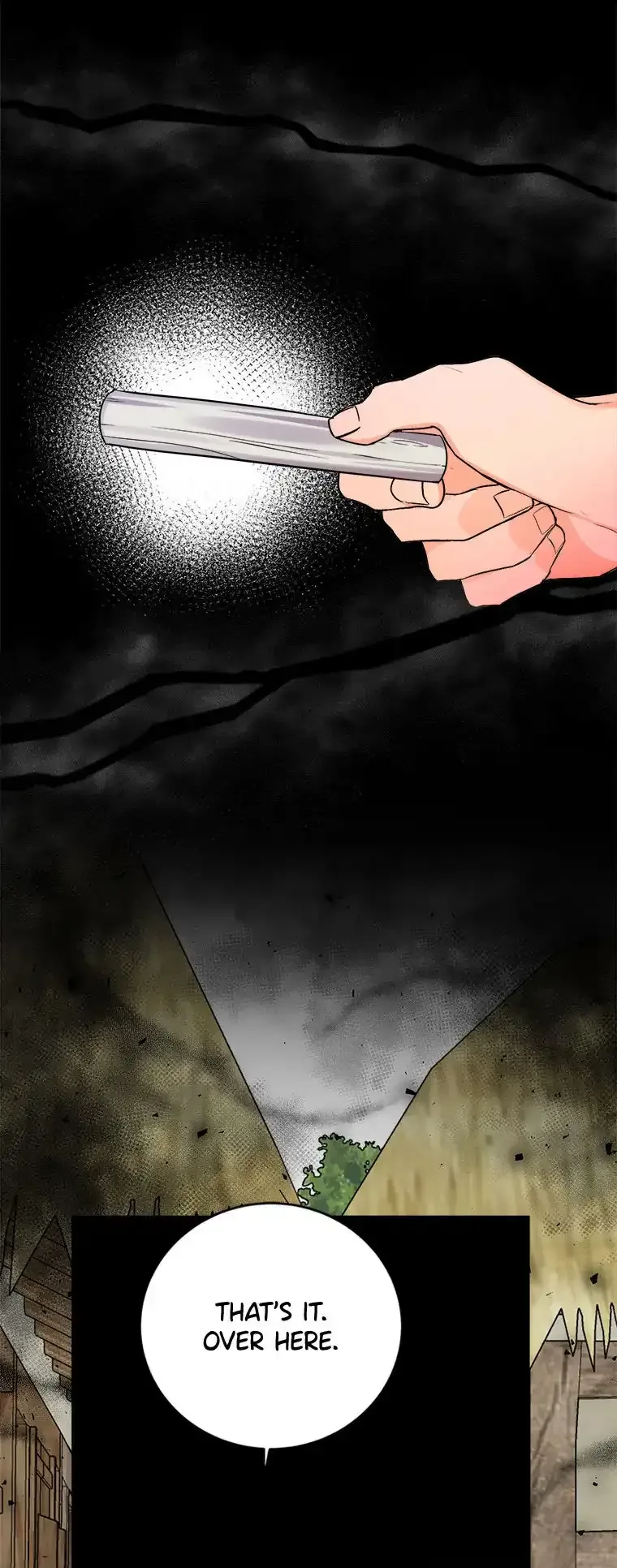 The Tale of the Tiger Girl Chapter 36 page 34