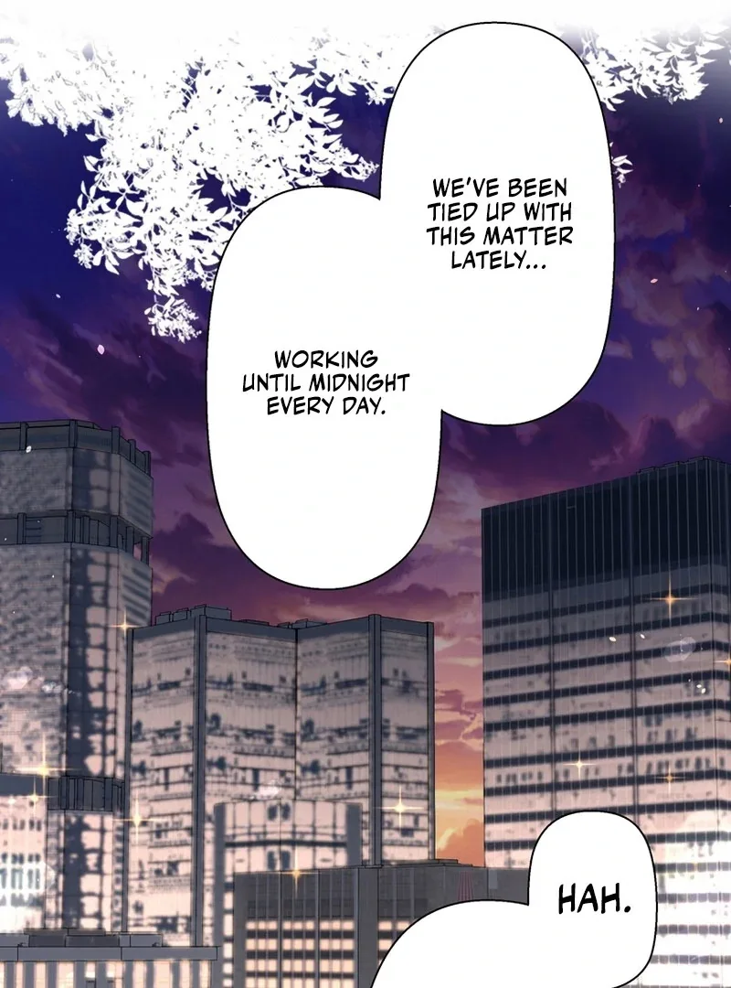 I Became a Divorce Lawyer for My First Love Chapter 36 page 28