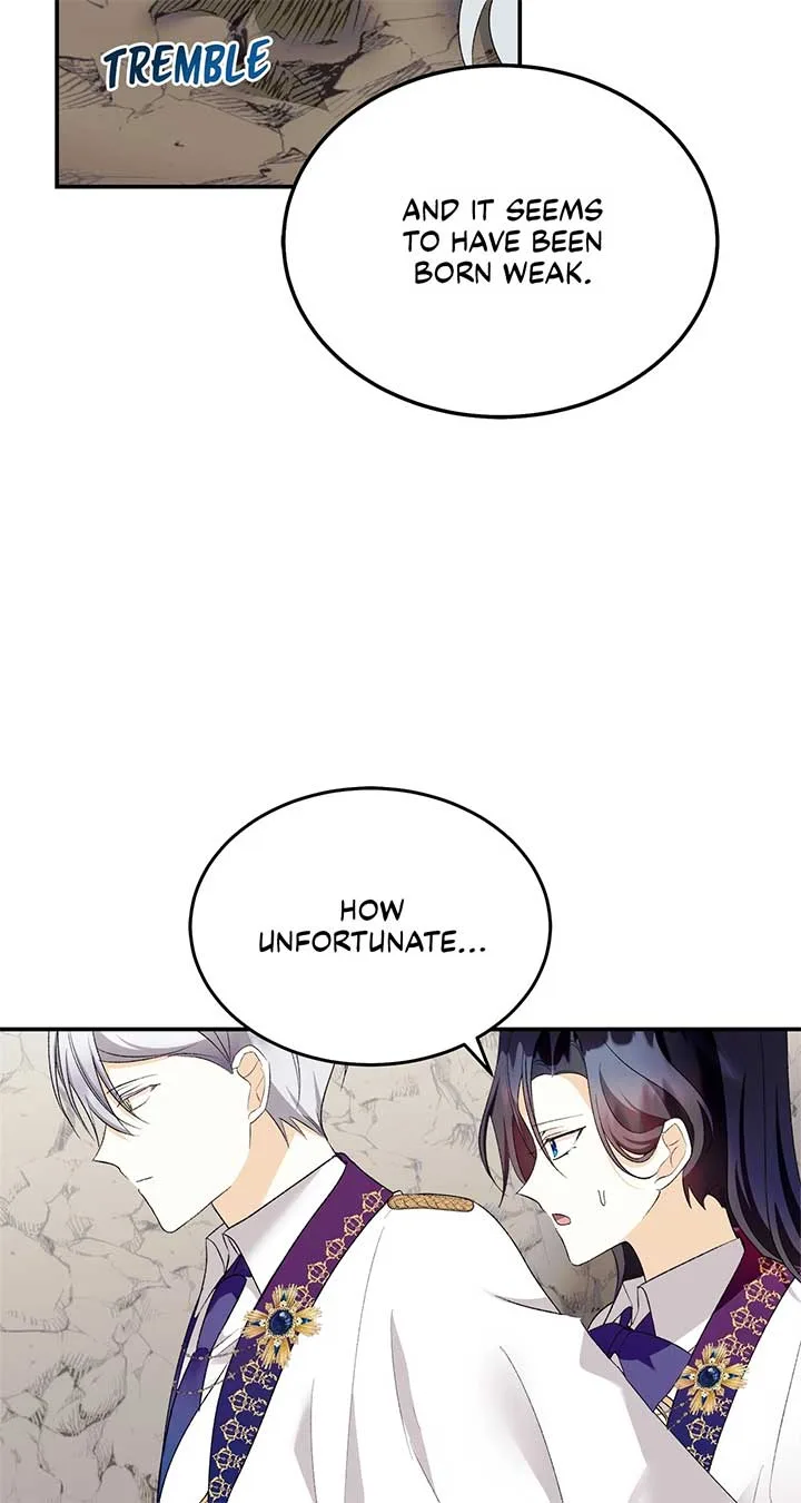 The Duke And Duchess Divorce Circumstances Chapter 38 page 13