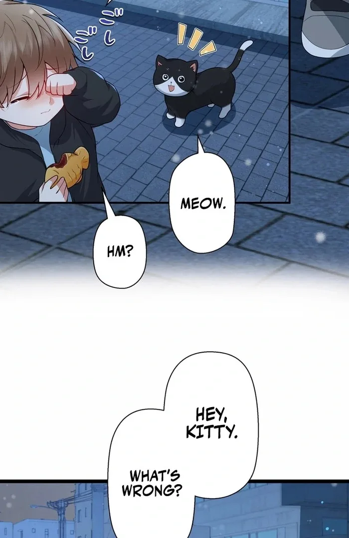 I Became a Divorce Lawyer for My First Love Chapter 38 page 50