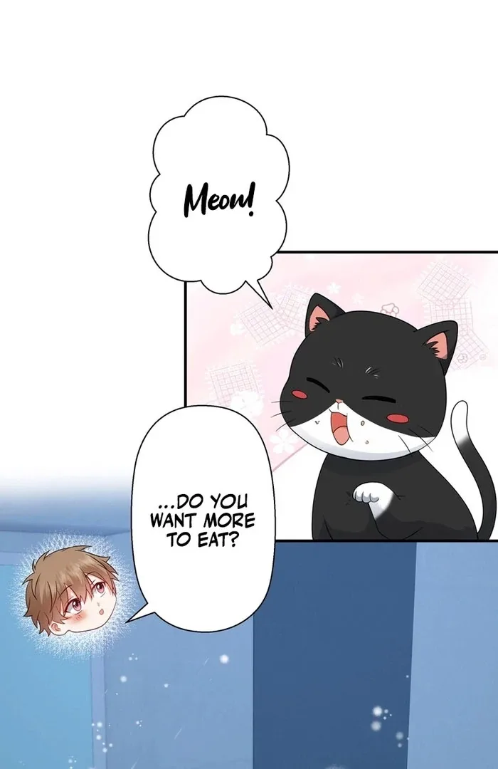 I Became a Divorce Lawyer for My First Love Chapter 38 page 59