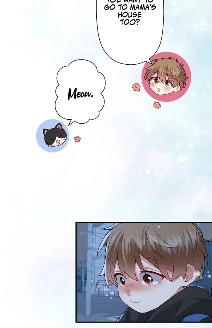 I Became a Divorce Lawyer for My First Love Chapter 38 page 52
