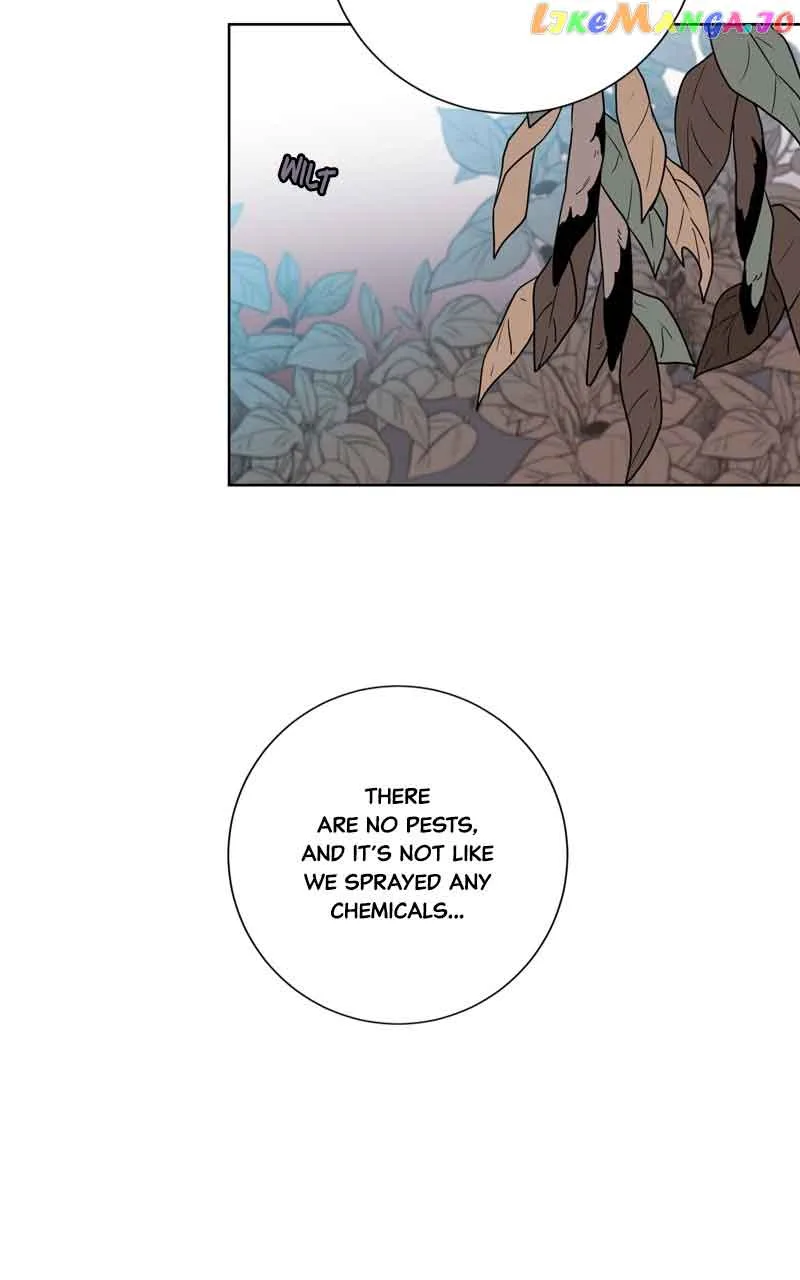The Goddess’s Guide to Farming Chapter 39 page 5