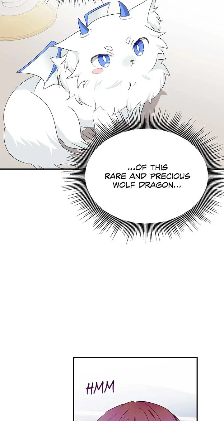The Duke And Duchess Divorce Circumstances Chapter 40 page 44