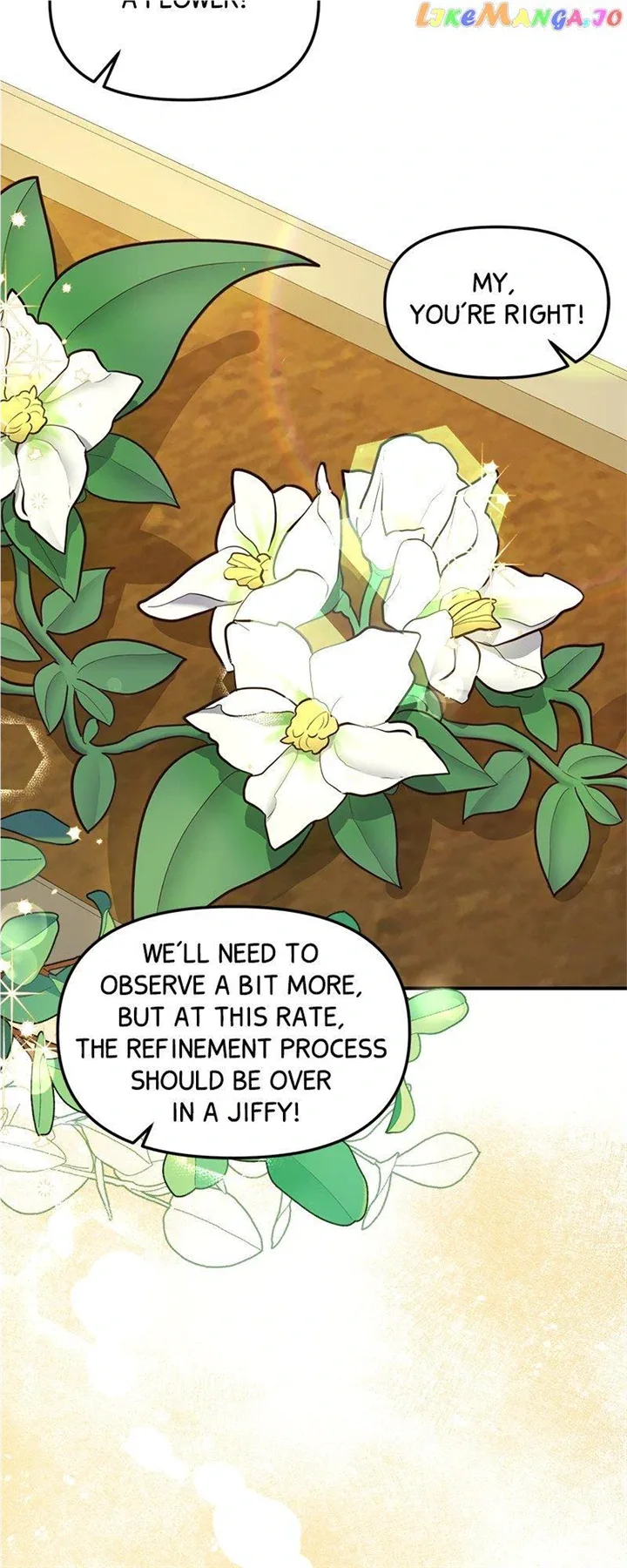 The Fake Duchess In Distresss Chapter 40 page 3